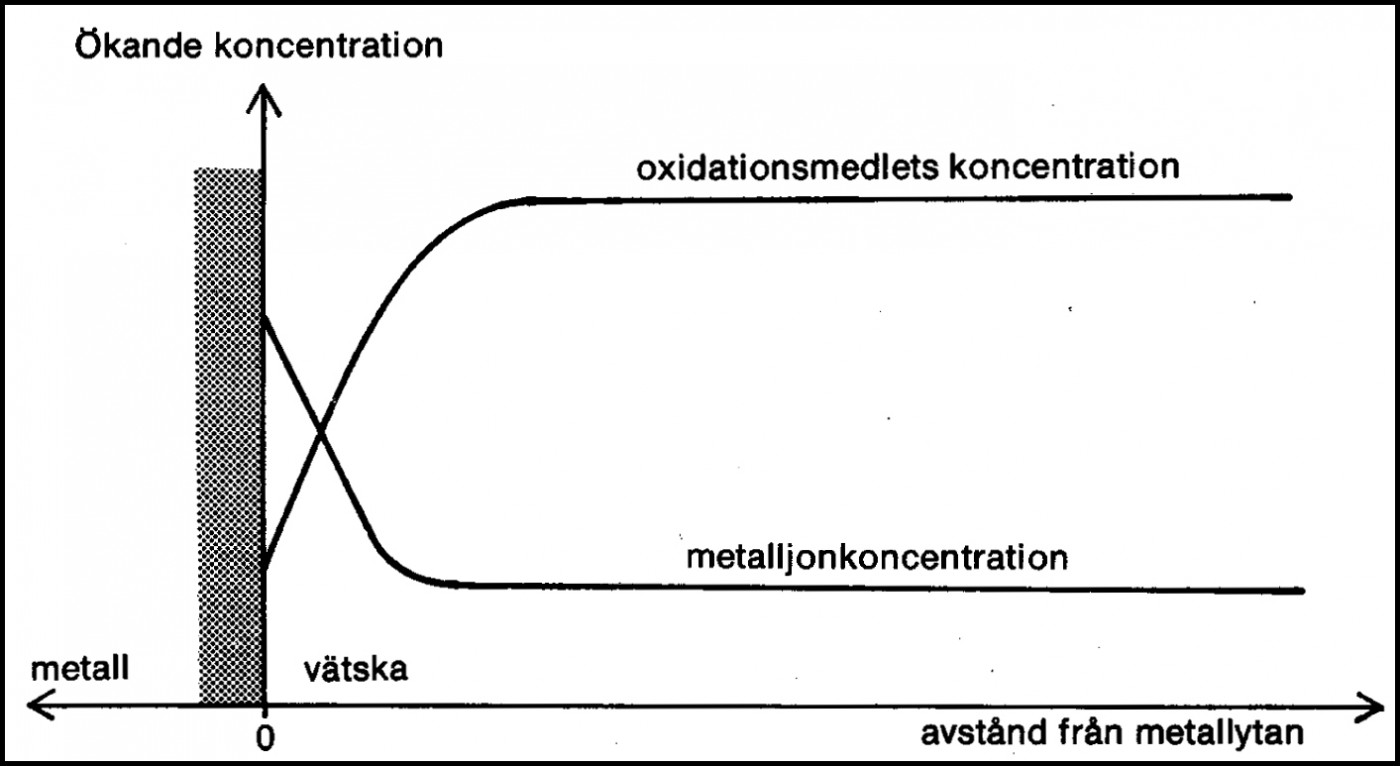 Koncentrationsdifferenser vid en allmänkorroderande metallyta